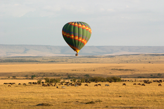 Ballooning Masai Mara